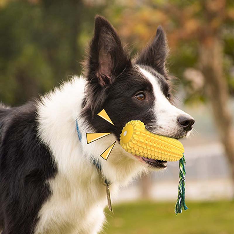 トウモロコシ型の鳴き笛入り犬用おもちゃ、耐久性があり噛みつき - Corn Dog Stick のレビューと価格